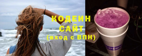 шишки Медвежьегорск