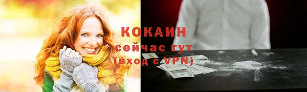 шишки Медвежьегорск