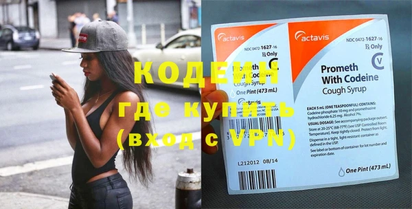 шишки Медвежьегорск