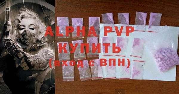 шишки Медвежьегорск