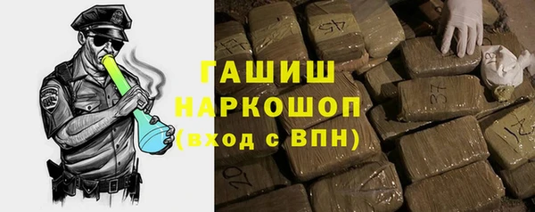 шишки Медвежьегорск