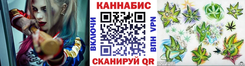 kraken зеркало  Черногорск  shop какой сайт  Шишки марихуана сатива 